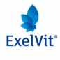 exelvit_logo.png